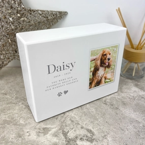 Personalised Heart & Paw Print Photo Cremation Urn For Pets Ashes | 1.09 Litres poultry halters,bird leash