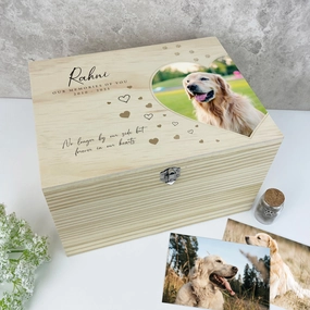 Personalised Large Pine Wooden Pet Memorial Photo Memory Box - 5 Sizes (16cm | 20cm | 26cm | 30cm | 36cm) poultry halters,bird leash