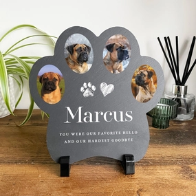 Personalised Paw Shaped Pet Photo Slate With Stand 20cm poultry halters,bird leash