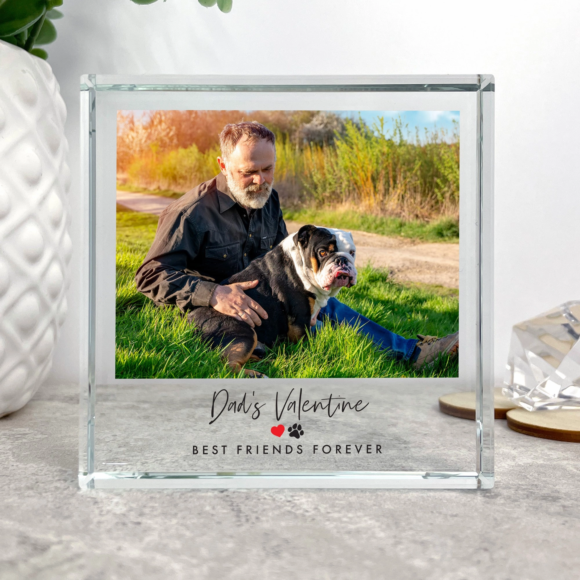 Personalised Pet Heart & Paw Photo Crystal Token poultry halters,bird leash