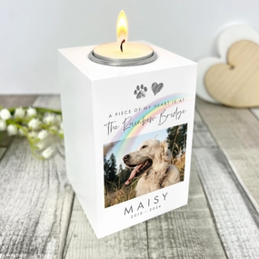 Personalised Pet Memorial Rainbow Bridge Photo White Tea Light Holder poultry halters,bird leash