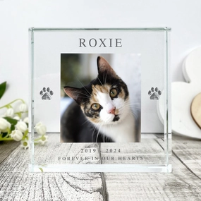 Personalised Pet Paw Prints Memorial Photo Crystal Token poultry halters,bird leash