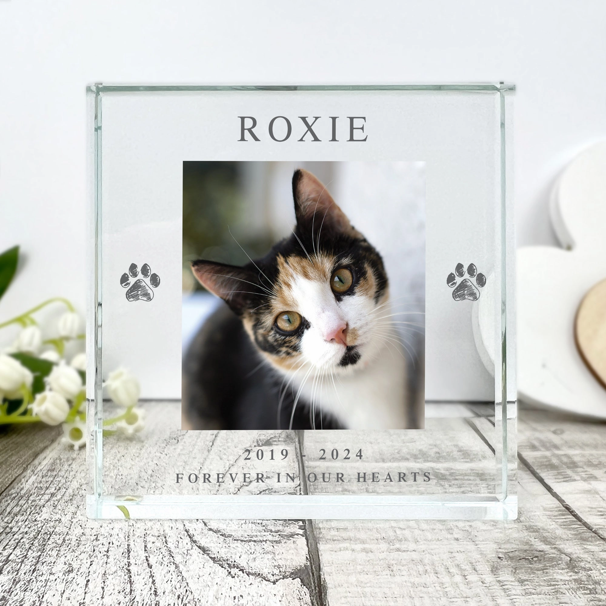 Personalised Pet Paw Prints Memorial Photo Crystal Token poultry halters,bird leash