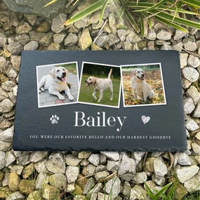 Personalised Pet Photo Slate Grave Marker 30 x 20cm poultry halters,bird leash