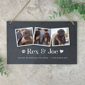Personalised Pet Photo Slate Hanging Plaque 25 x 15cm poultry halters,bird leash