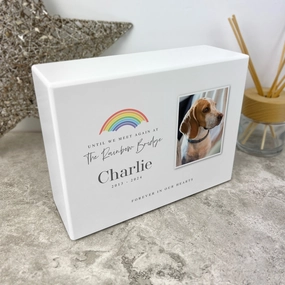 Personalised Until We Meet Again Rainbow Bridge Photo Cremation Urn For Pets Ashes | 1.09 Litres poultry halters,bird leash