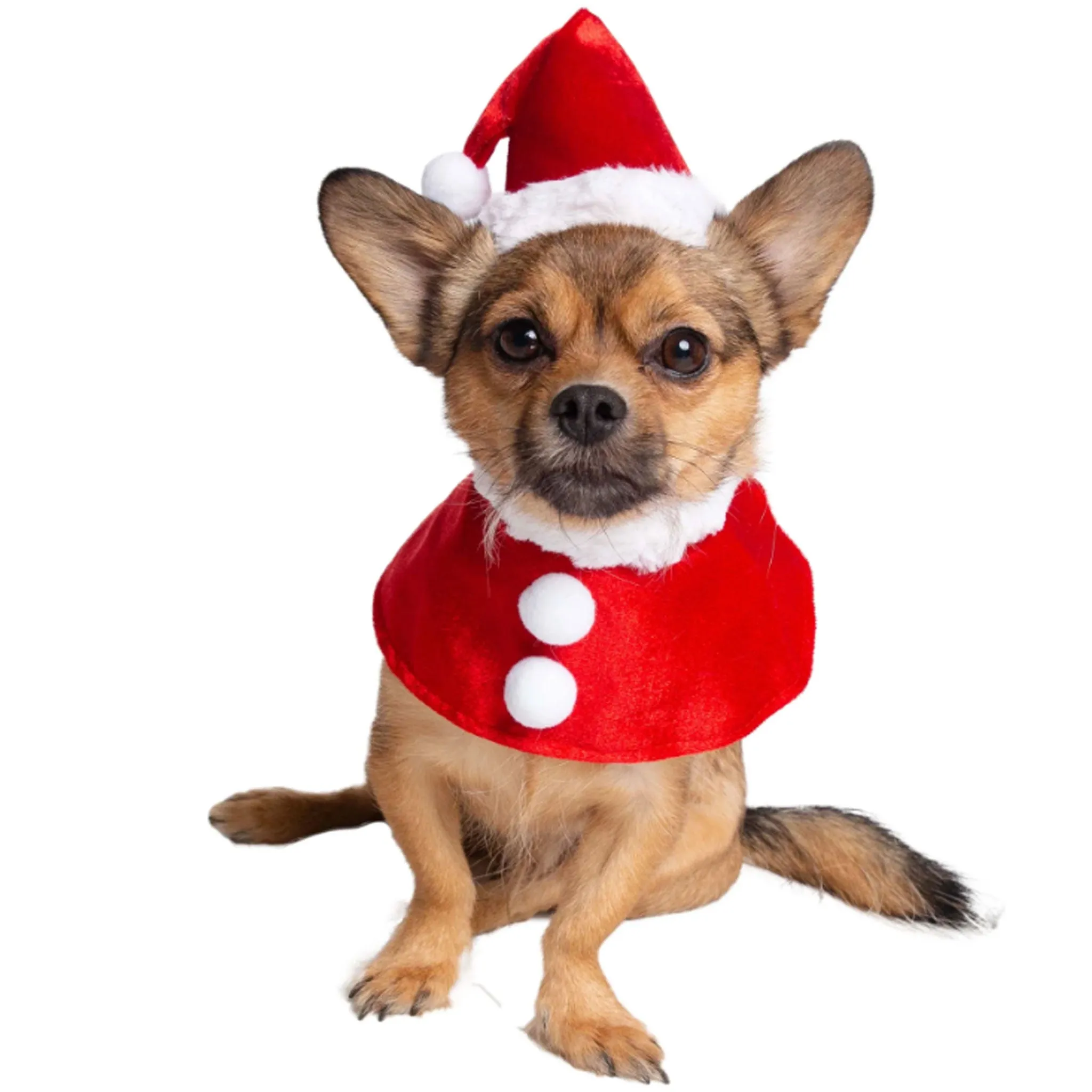 Pet Krewe Santa Hat and Collar Pet Costume