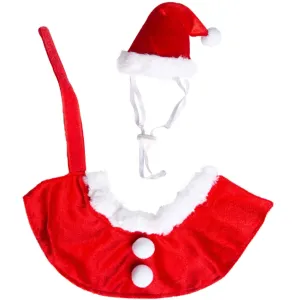 Pet Krewe Santa Hat and Collar Pet Costume cat toys, cat supplies