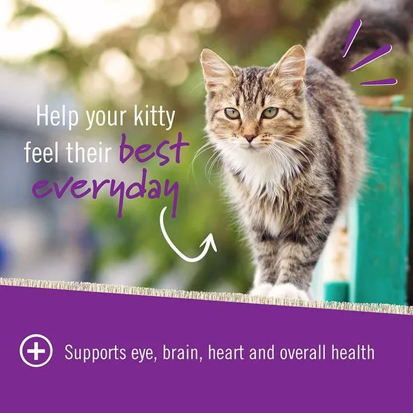 Pet Naturals Daily Multi Vitamin Chews Supplement for Cats