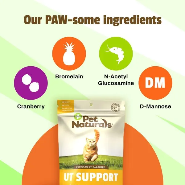 Pet Naturals UT Support Supplement Chews for Cats