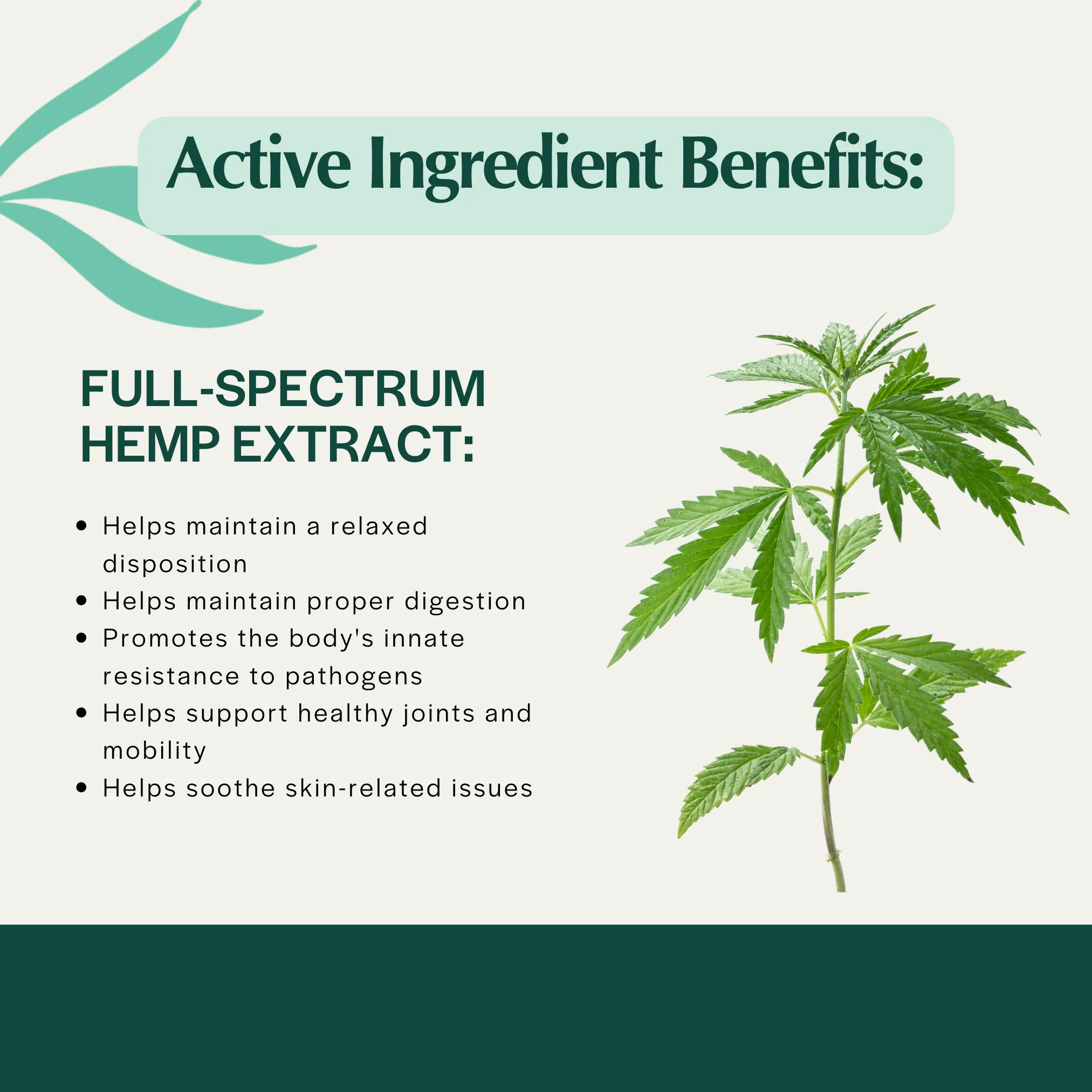 Pet Releaf Hip & Joint Releaf 300mg Hemp Oil for Dogs & Cats