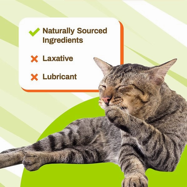 Pet Naturals Hairball Supplement Chews For Cats