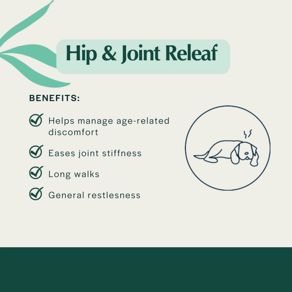 Pet Releaf Hip & Joint Releaf 600mg Hemp Oil for Dogs