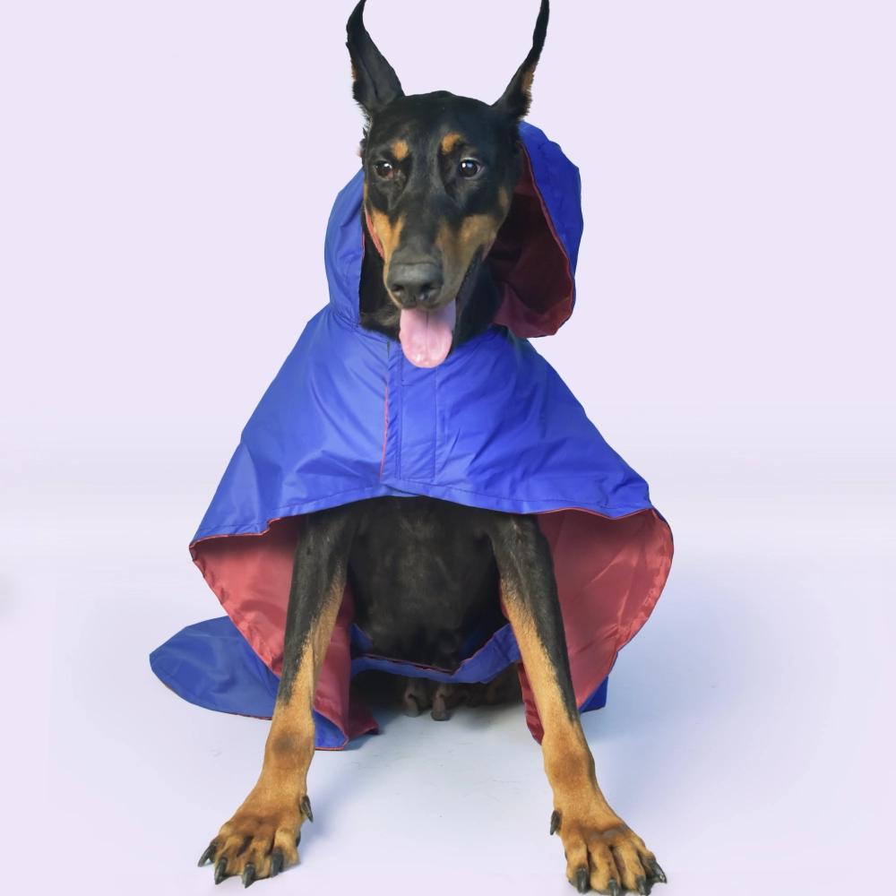 Pet Set Go Cape Style Raincoat for Dogs (Blue)