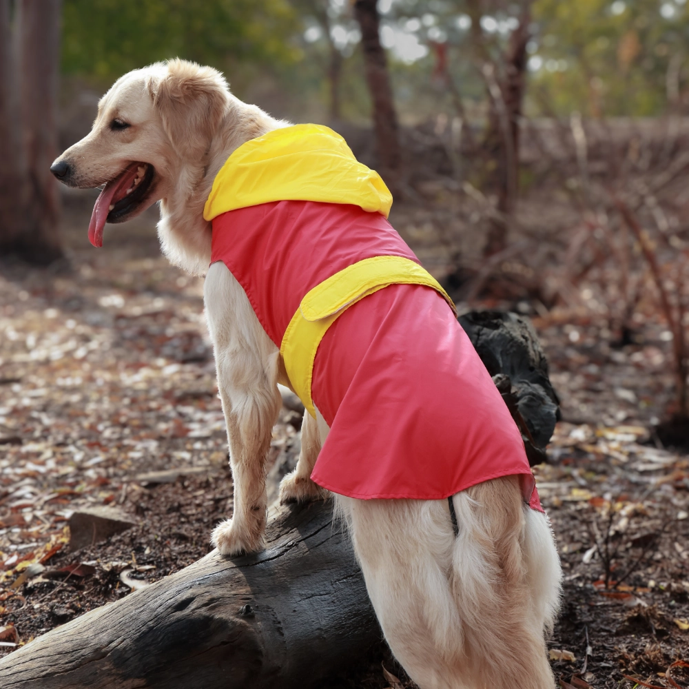 Pet Set Go Splash Waterproof Raincoat for Dogs (Red/Yellow)