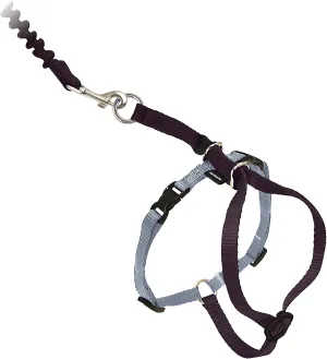 PetSafe Come with Me Kitty Black & Silver Harness and Bungee Leash for Cats cat collar, breakaway cat harness