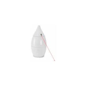 Petsafe Laser Chase Cat Toy catnip toys, feather wand toy