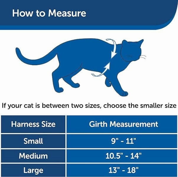 PetSafe Come With Me Kitty Harness & Bungee Leash for Cats
