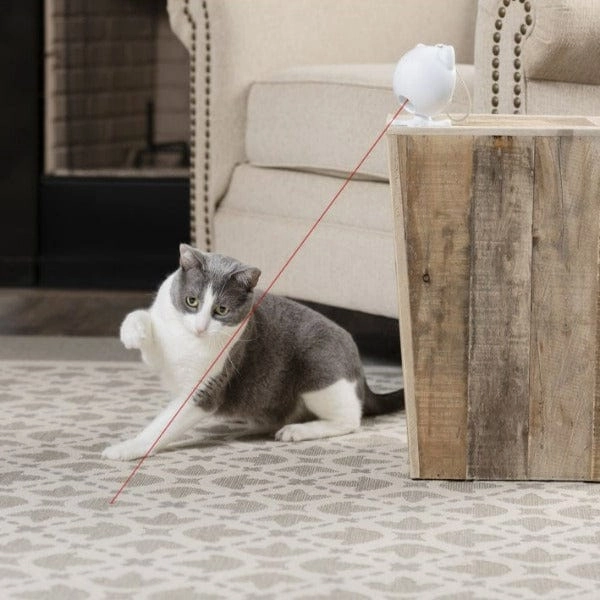 PetSafe Dancing Dot Laser Cat Toy