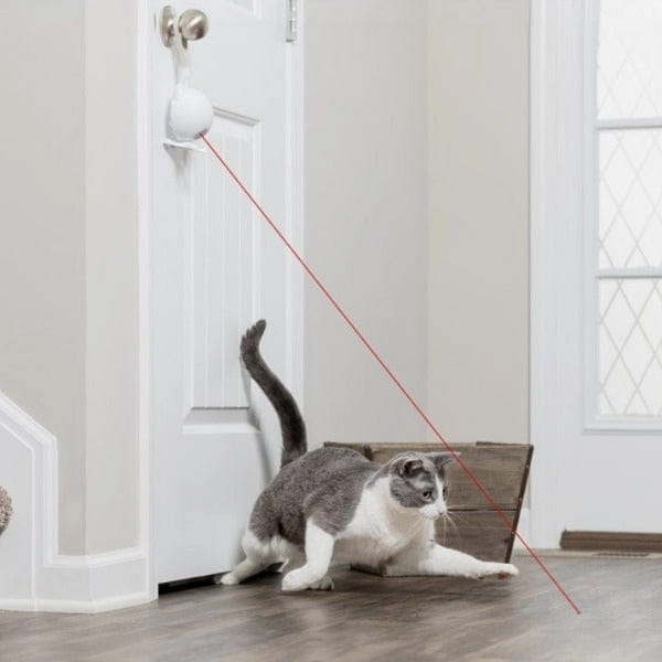 PetSafe Dancing Dot Laser Cat Toy