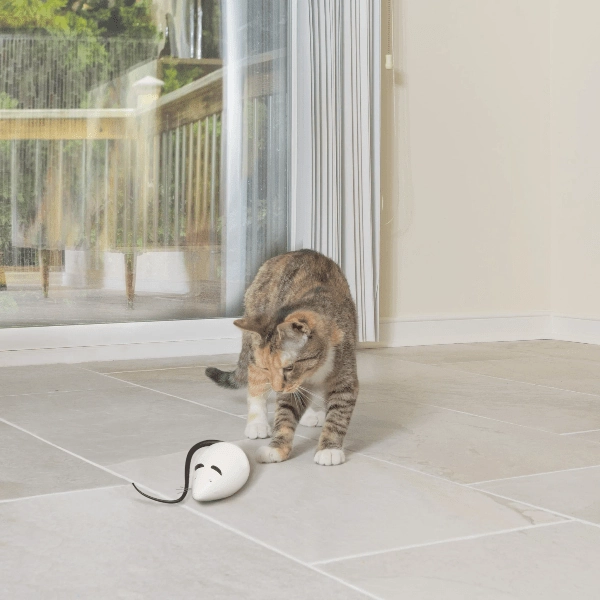 PetSafe RoloRat Automatic Cat Teaser Toy