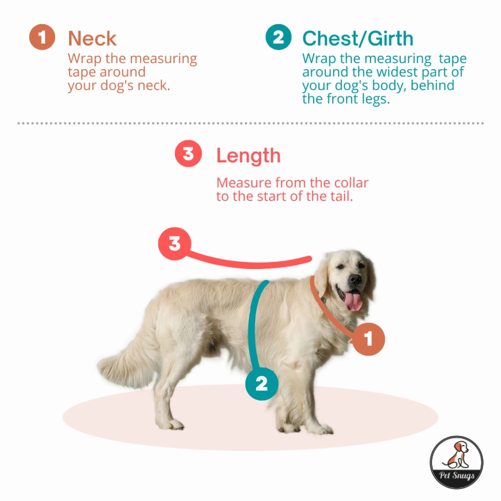 Petsnugs Pumpkin Paws Sweater for Dogs and Cats (Orange)