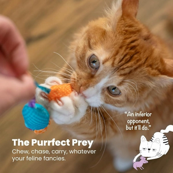 Petstages Catnip Chew Mice Cat Toy