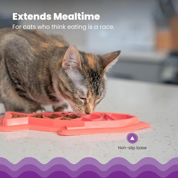 Petstages Fishie Mat Slow Feeder for Cats
