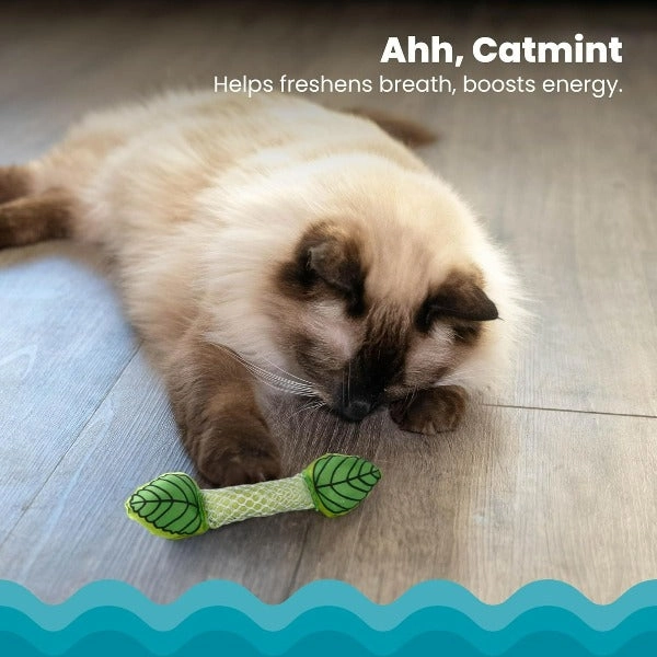 Petstages Fresh Breath Mint Stick Cat Toy