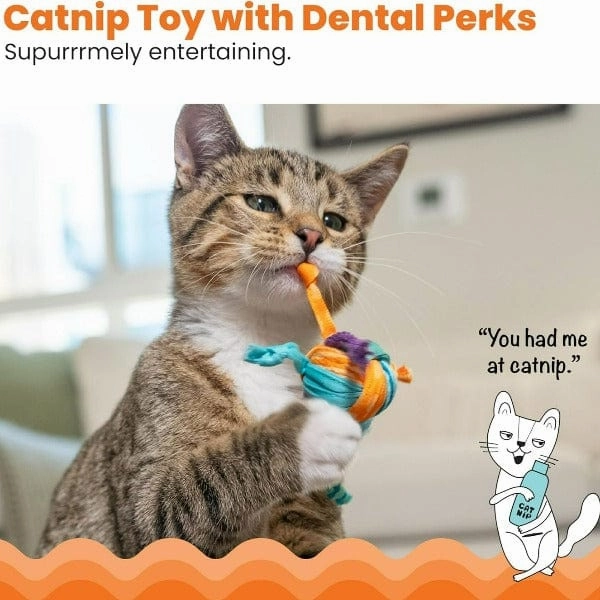 Petstages Tons of Tails Cat Toy
