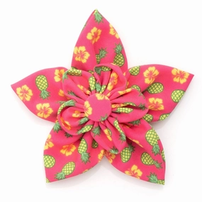 Pineapples Dog Collar Flower dog collar accessory,collar decor