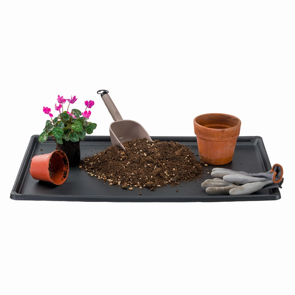 PLASTIC TRAY