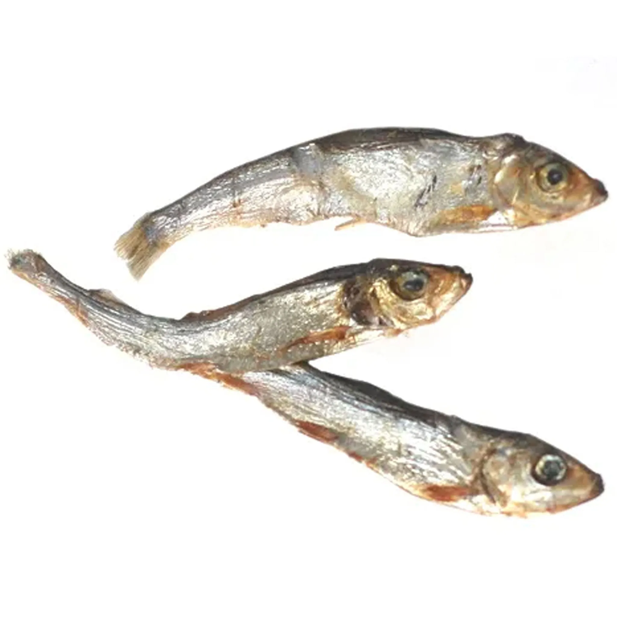 Plato  Fish Dog Treats