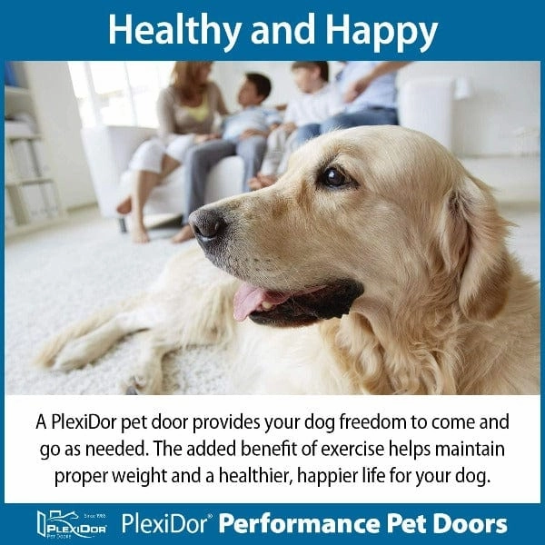 PlexiDor Wall Mount Performance Pet Doors