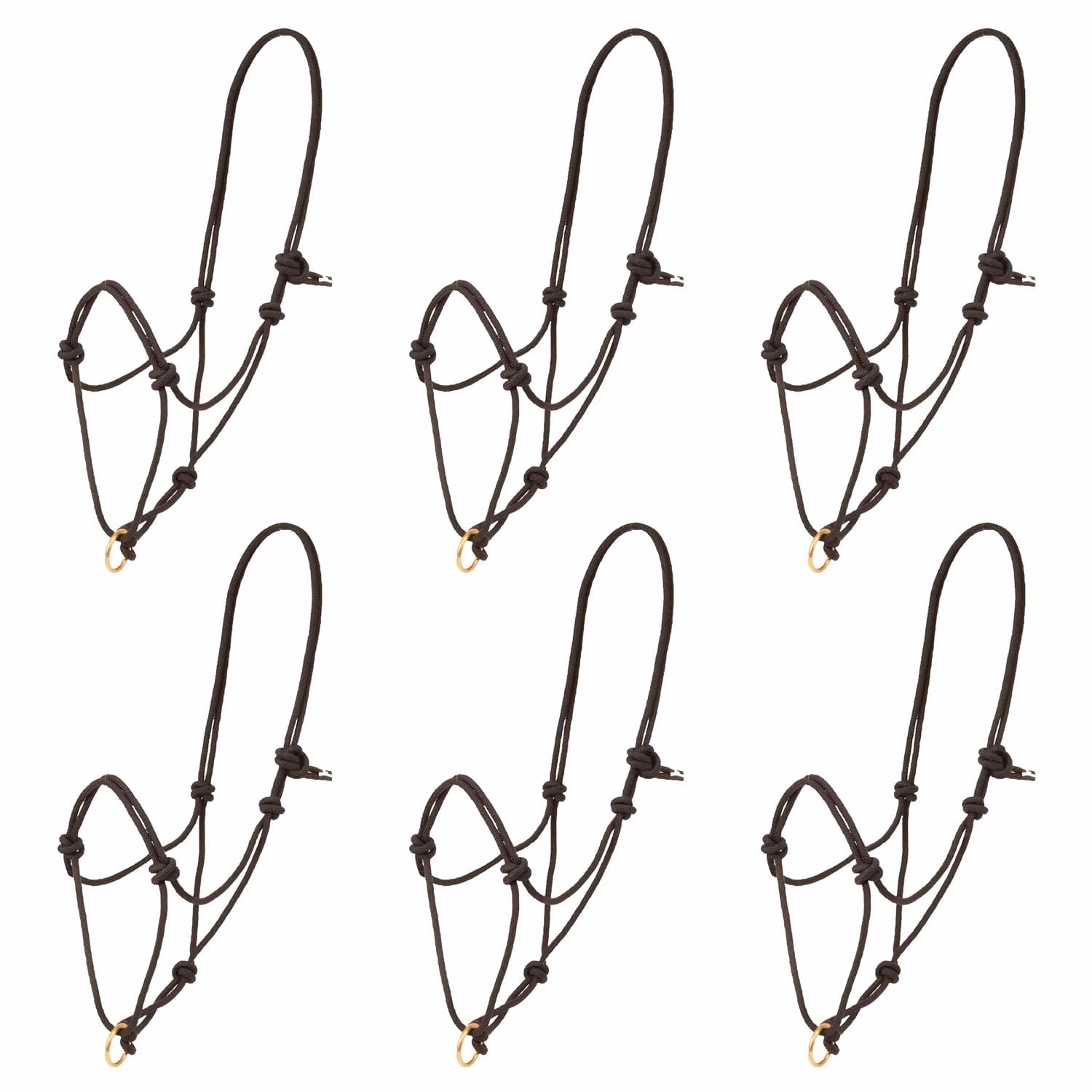 Poly Rope Halter with Brass Plated Lead Ring