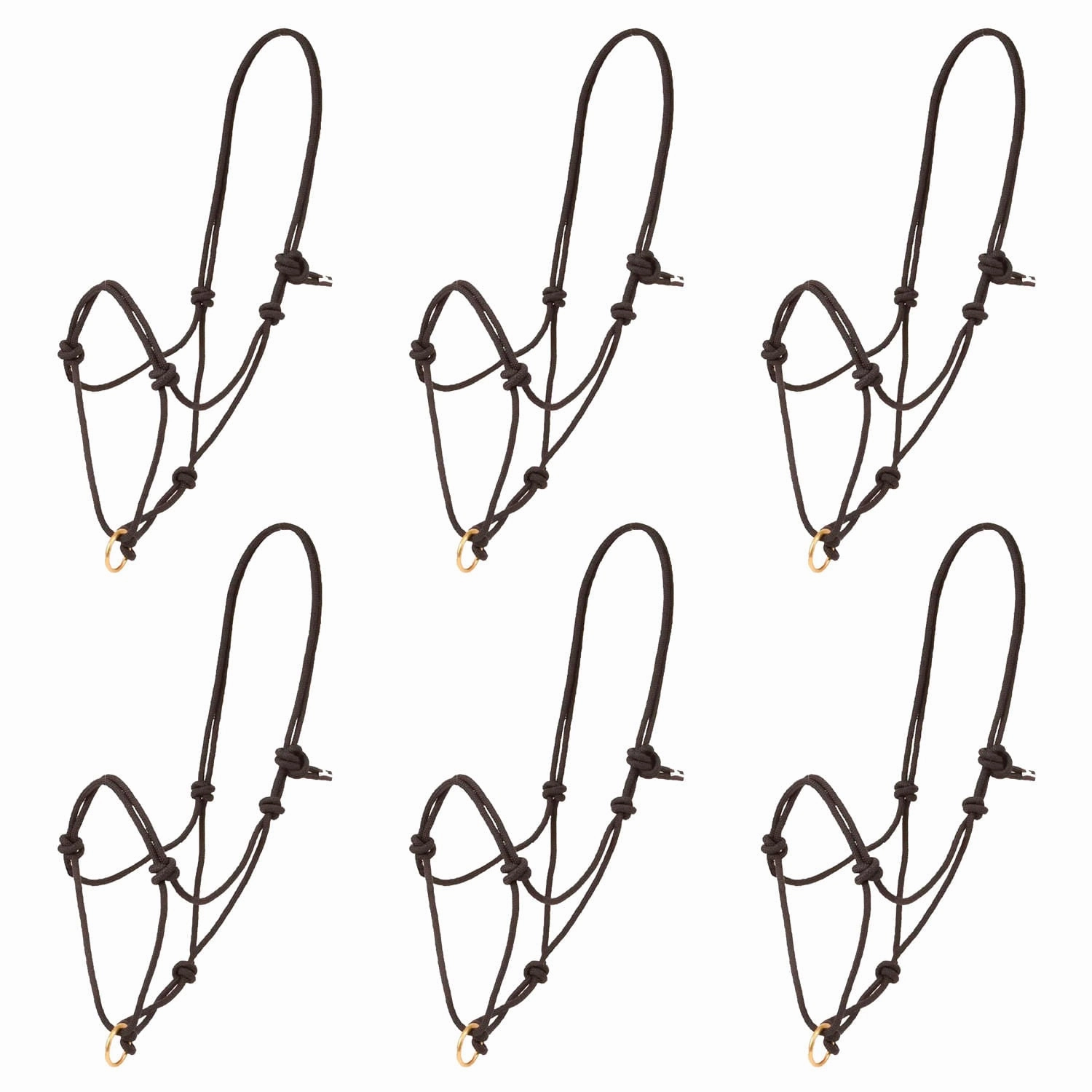 Poly Rope Halter with Brass Plated Lead Ring