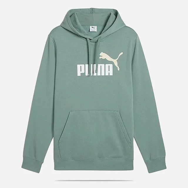 PUMA MEN'S ESSENTIALS LOGO FLEECE GREEN MOON HOODIE Cothing_Mens-Puma
