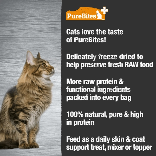 PureBites  Skin & Coat Freeze Dried Cat Treats, 31g