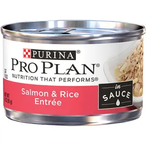 Purina Pro Plan Adult Salmon & Rice Entree in Sauce Canned Cat Food wet cat food, canned cat food
