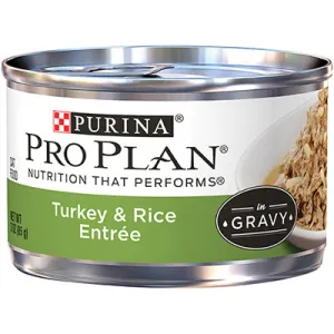 Purina Pro Plan Adult Turkey & Rice Entree in Gravy Canned Cat Food wet cat food, canned cat food