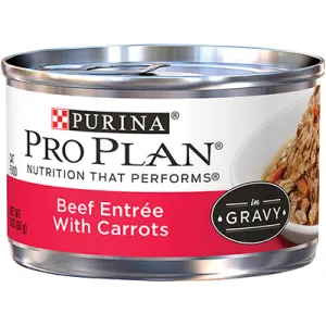 Purina Pro Plan Beef Entre With Carrots in Gravy Canned Cat Food healthy cat food, premium dry cat food