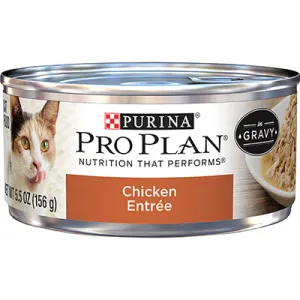 Purina Pro Plan Chicken Entre in Gravy Canned Cat Food healthy cat food, premium dry cat food