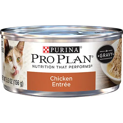 Purina Pro Plan Chicken Entre in Gravy Canned Cat Food healthy cat food, premium dry cat food