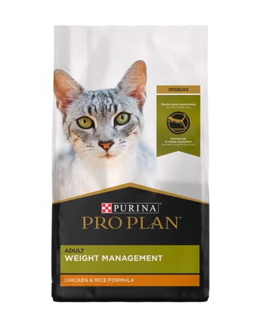 Purina Pro Plan Focus Weight Management Chicken & Rice Formula Dry Cat Food healthy cat food, premium dry cat food