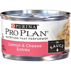 Purina Pro Plan Salmon & Cheese Entre in Sauce wet cat food, canned cat food