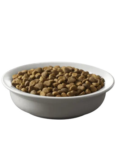 Purina Pro Plan Savor Adult Salmon & Rice Formula Dry Cat Food