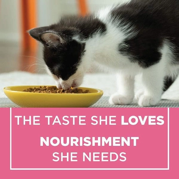 Purina Kitten Chow Dry Cat Food, 1.8kg