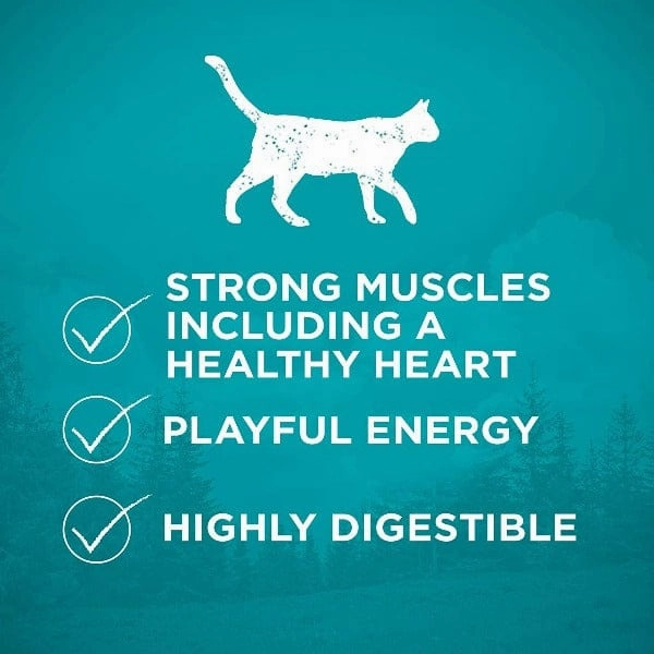 Purina ONE True Instinct Grain Free Real Chicken Dry Cat Food, 1.45kg