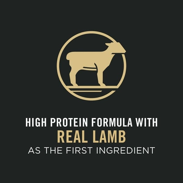Purina Pro Plan Adult Sensitive Skin & Stomach Lamb & Rice Dry Cat Food, 7lb