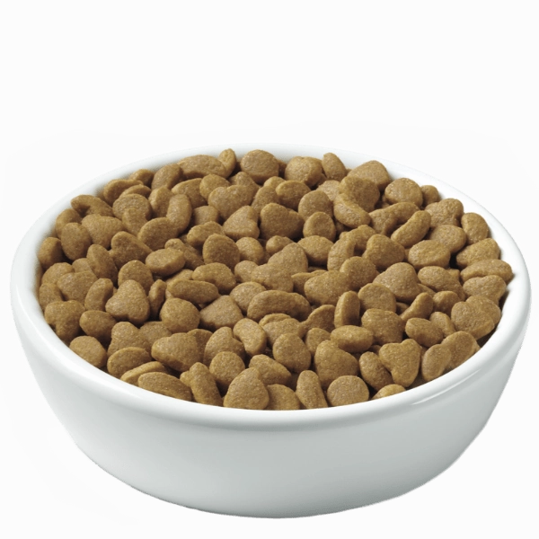 Purina Pro Plan Kitten Chicken & Rice Formula Dry Kitten Food, 7lb